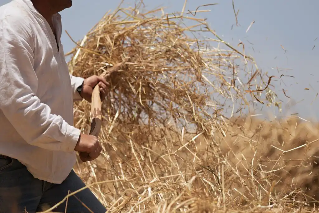 Sorting the Chaff out of Digital Marketing
