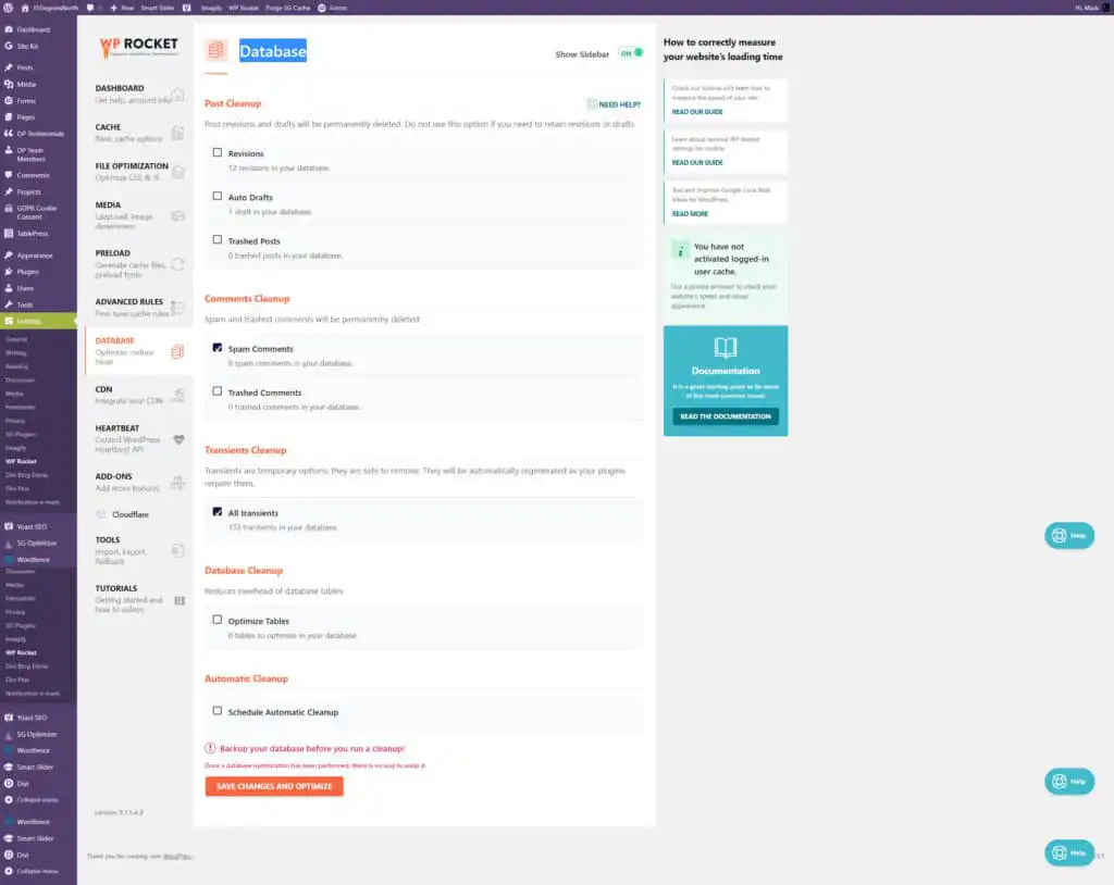 WP Rocket DataBase Settings Page